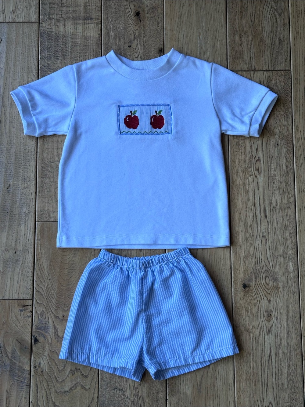 Southern Smocked Co. Smocked Apples Shirt and Blue Check Shorts Set size 2-3T